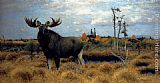 Elks In A Marsh Landscape by Wilhelm Kuhnert